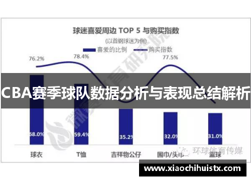 CBA赛季球队数据分析与表现总结解析